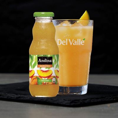Andina del Valle Durazno 300 ml