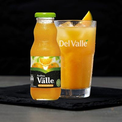 Andina del Valle Naranja 300 ml