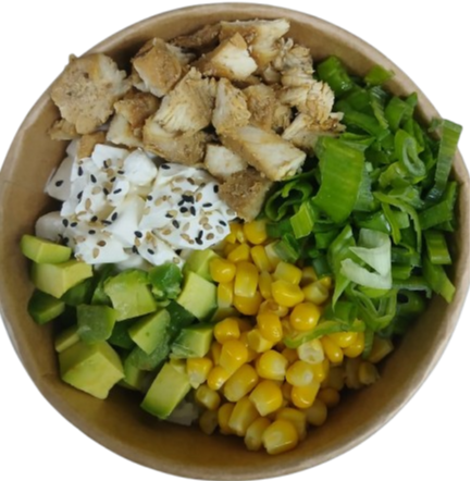 Gohan Pollo Teriyaki