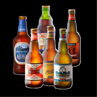 Promo Mix Cervezas Artesanales x 6