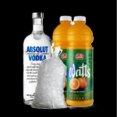 Promo Vodka absolute 