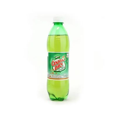 Ginger ale regular 600mL