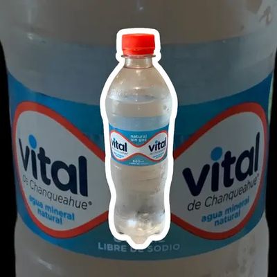Agua sin Gas Vital 600ml