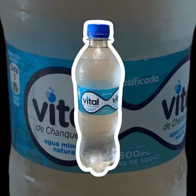 Agua con Gas Vital 600ml