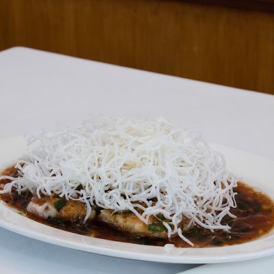 Corvina Seifu (Tradicional Mandarín)