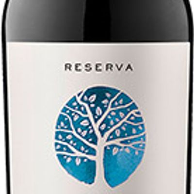 Vino Aliwen Reserva  750 cc