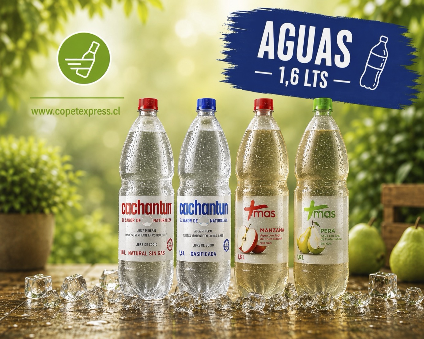 Aguas 1,6 lt