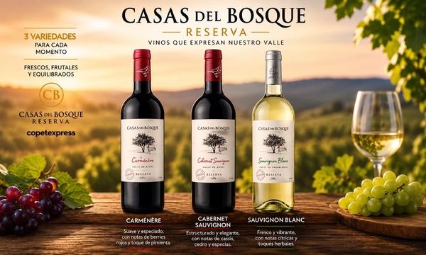 Casas del bosque Rsva. 750 cc