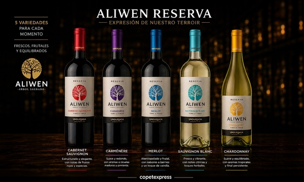 Aliwen Rsva. 750 cc
