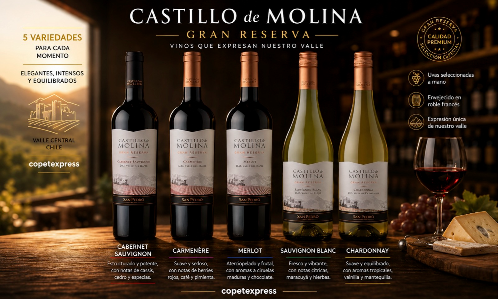 Castillo Molina Gran Rsva. 750 cc