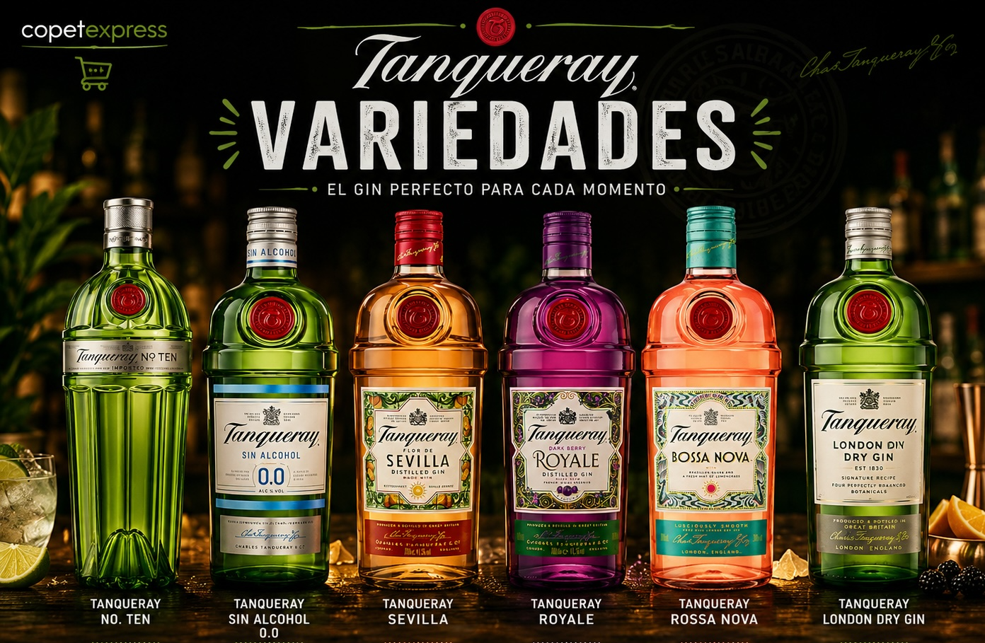 Tanqueray 750 cc