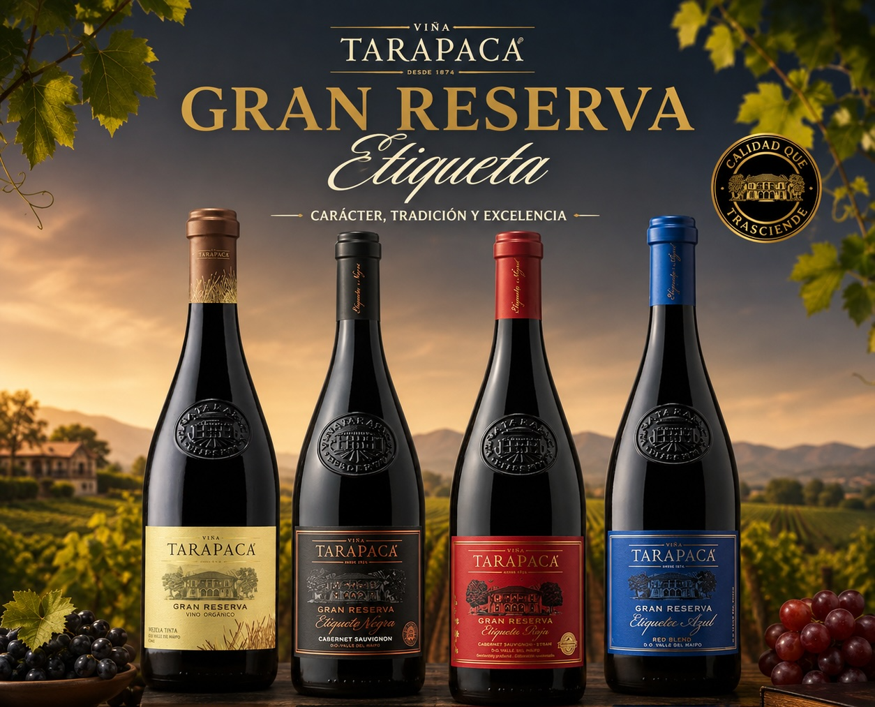 Tarapaca gran Rserva Etiquetas 750 cc