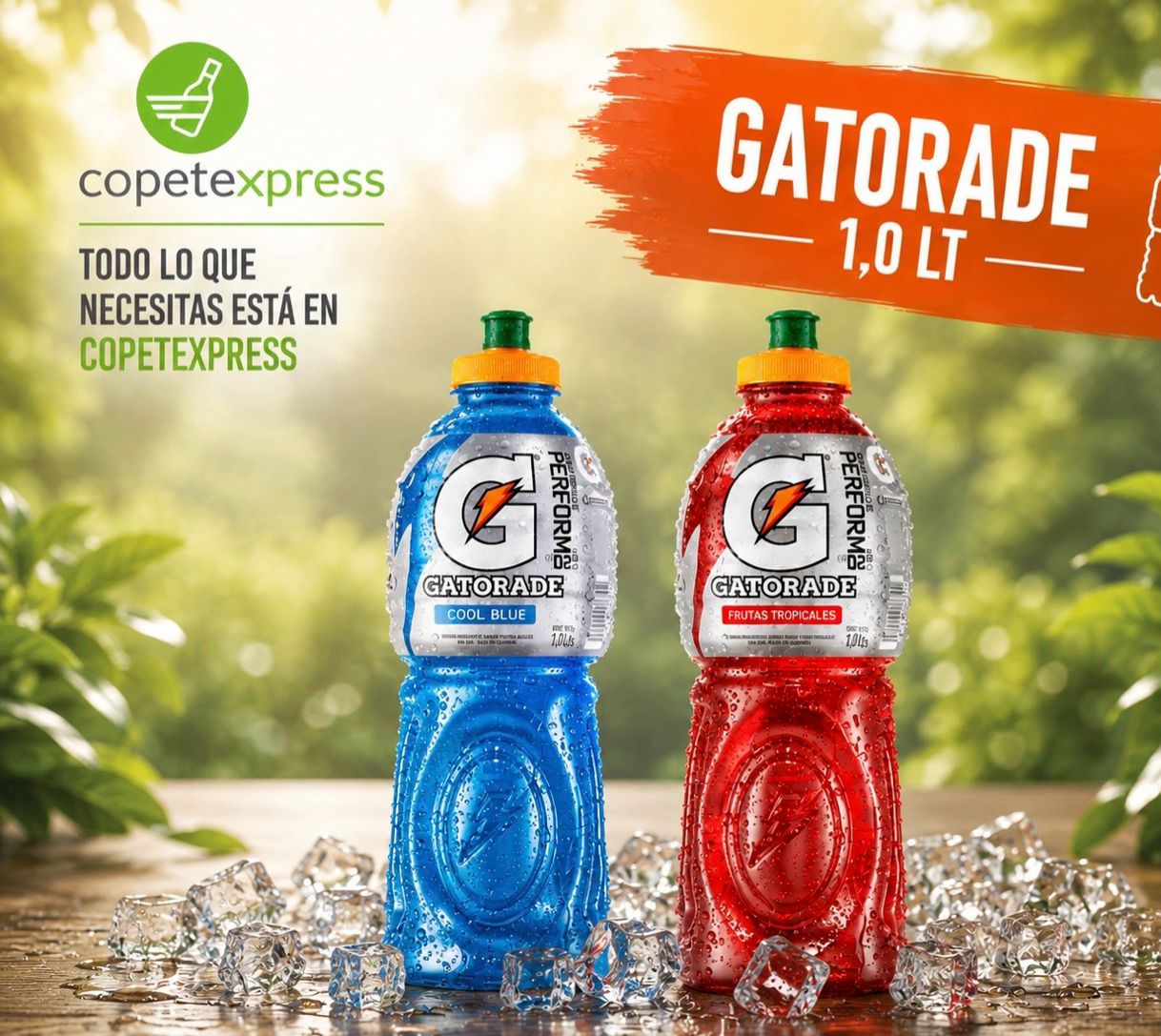 Gatorade 1,0 lt