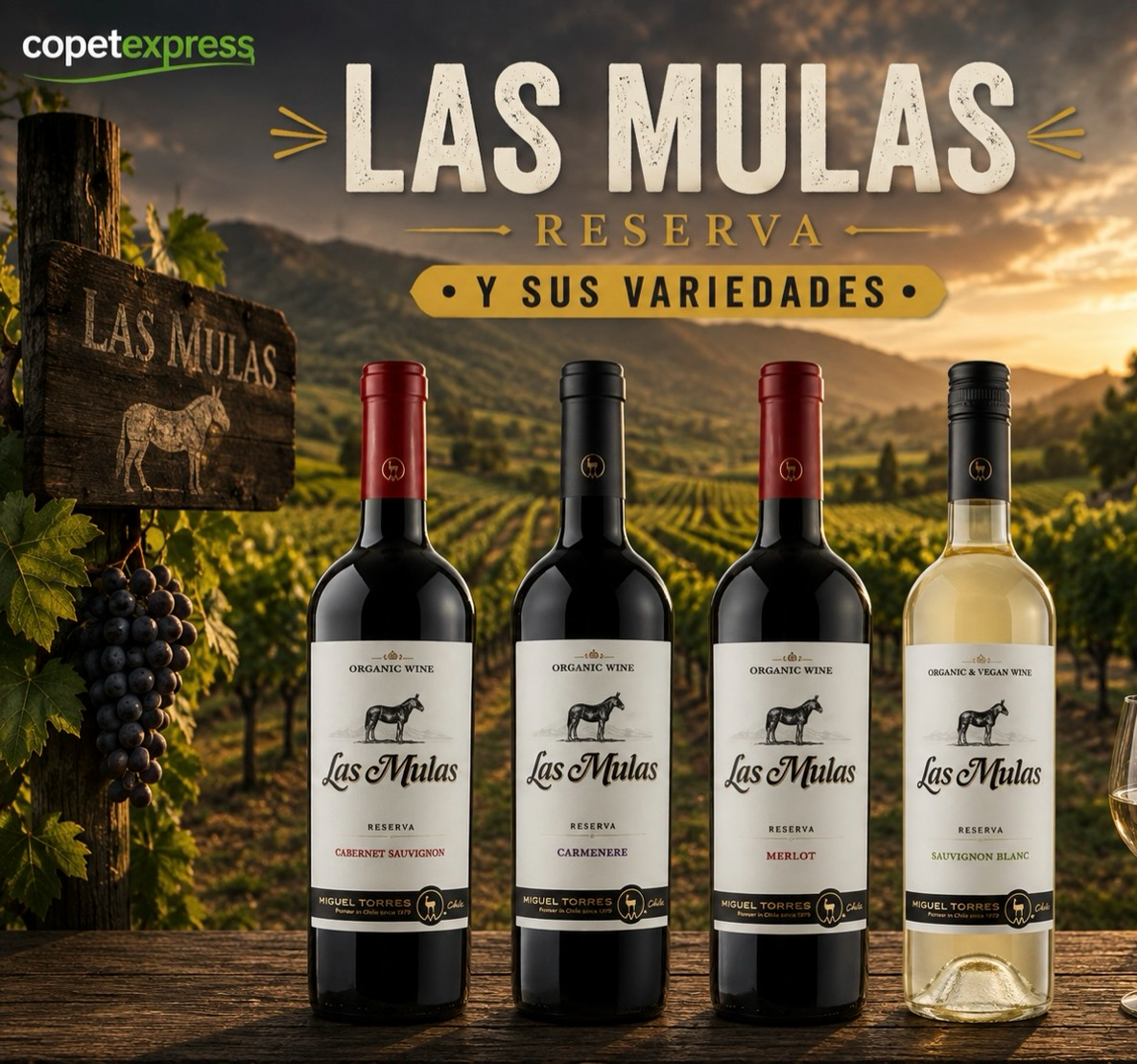 Las mulas Reserva 750 cc