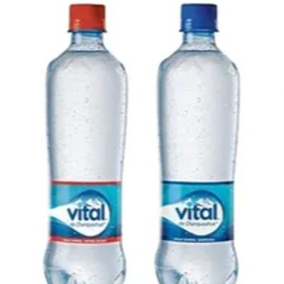 Agua Mineral con y sin gas Vital 500ml