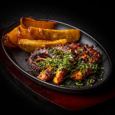 Pulpo