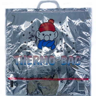Bolso Térmico Cuadrado Eliglu