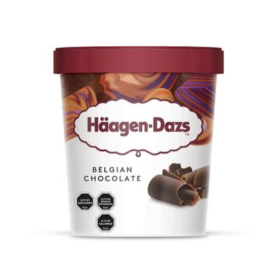 Helado Chocolate Belga Grande H.Dazs