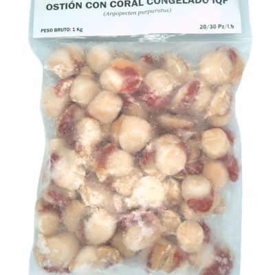 Ostión  Con Coral  Cal 20/30