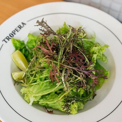 GREEN SALAD