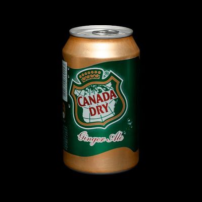 Canada Dry Ginger Ale 330cc