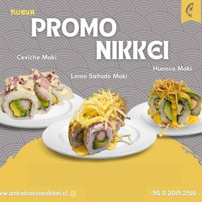 PROMO NIKKEI