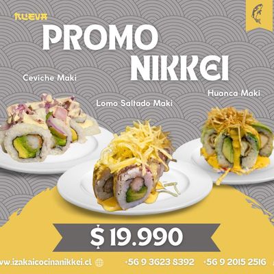 PROMO NIKKEI