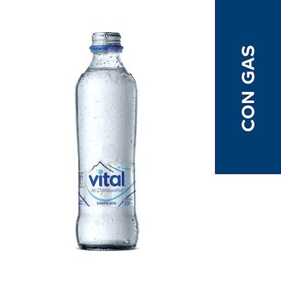 Agua mineral Vital C/G 330cc