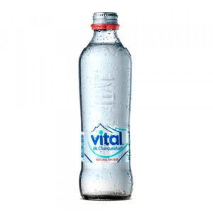 Agua Sin Gas 600ml