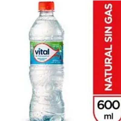 Vital Sin Gas 600 ml