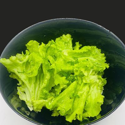 Ensalada de Lechuga