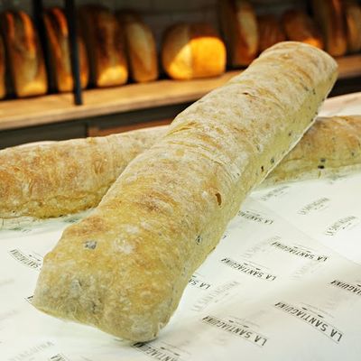 Ciabatta aceituna