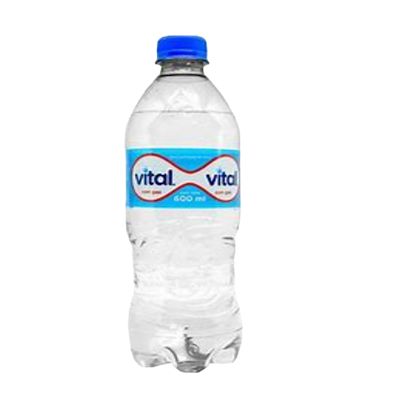 Agua mineral con gas 600 ml