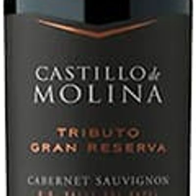 CASTILLO MOLINA TRIBUTO
