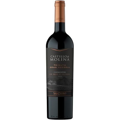 CASTILLO MOLINA TRIBUTO