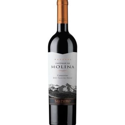 CASTILLO DE MOLINA CARMENERE BOT 750 CC SAN PEDRO