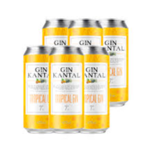 6 KANTAL GIN TROPICAL LATA 473CC 