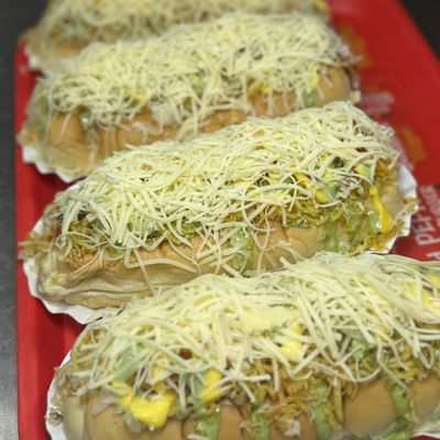 Promo 4 perros