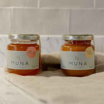 Miel multifloral Muna (170 grs)