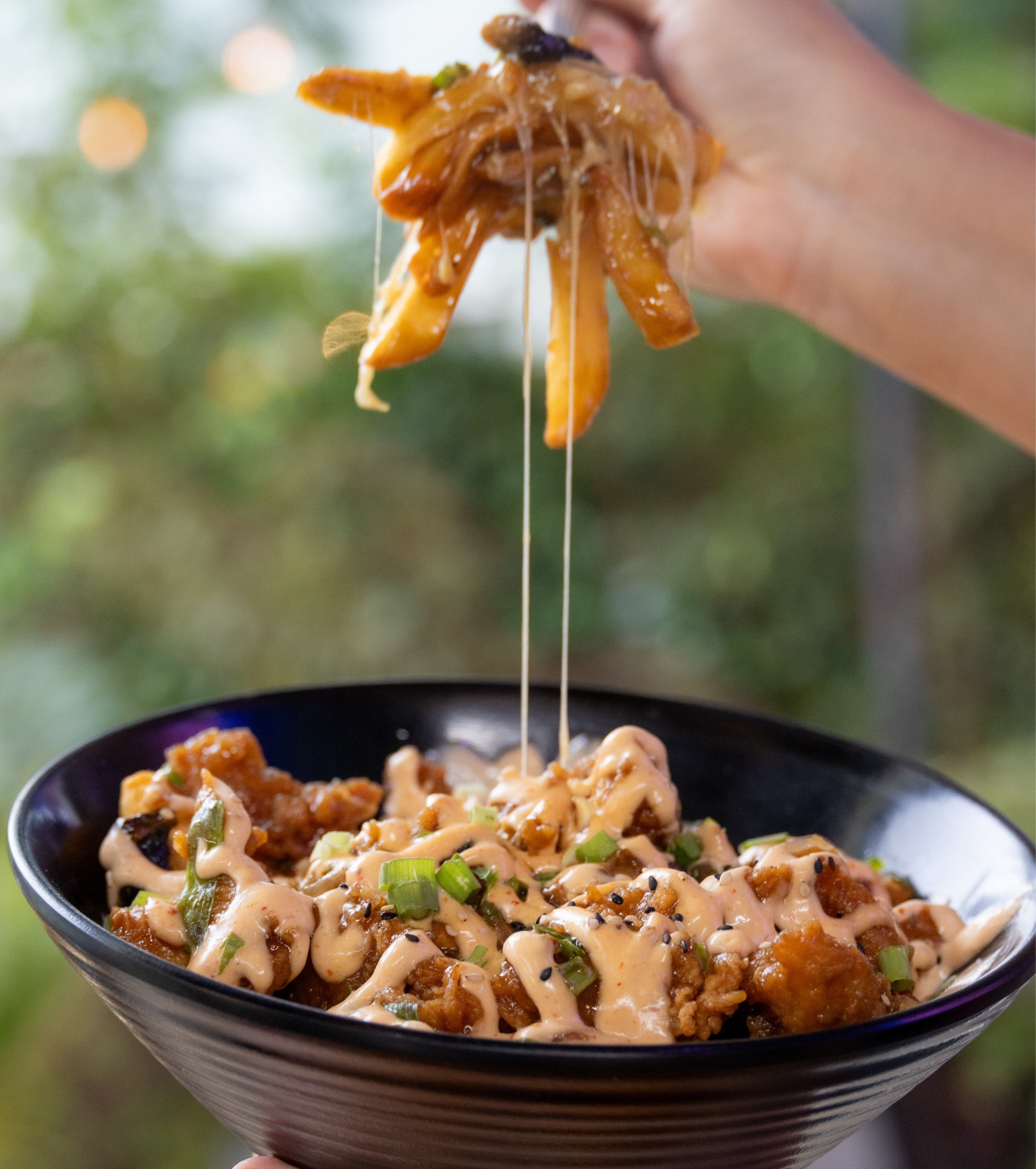 Red Panda Fries