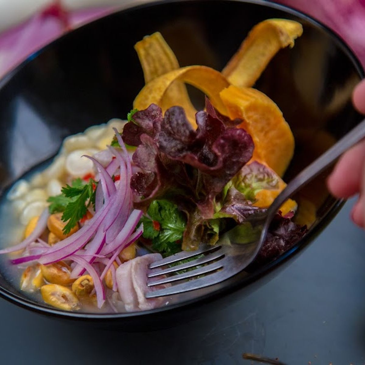 Ceviche de Salmon 