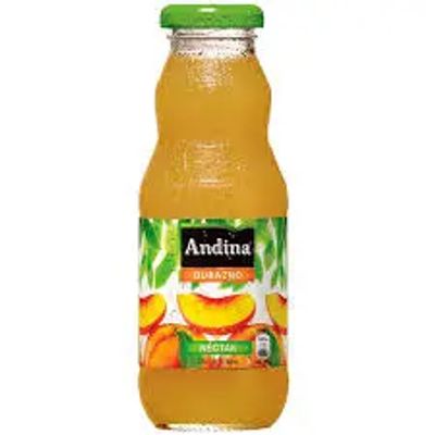 JUGO NECTAR ANDINA 300 ML