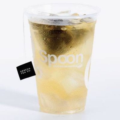 Sencha Teas Frios