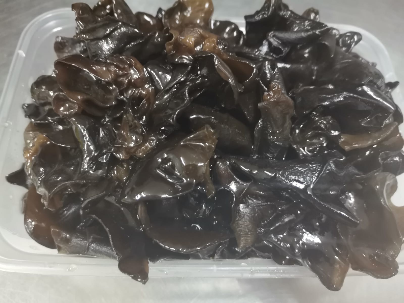 Alga Sola
