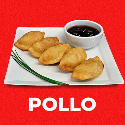 6 GYOZAS DE POLLO FRITAS