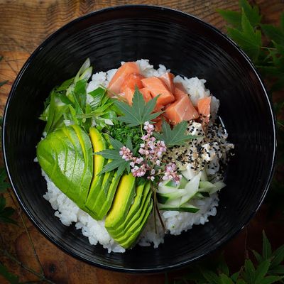 GOHAN SALMON