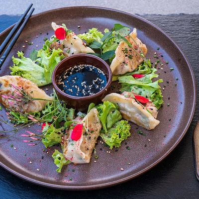 Gyozas Buta Nikkei