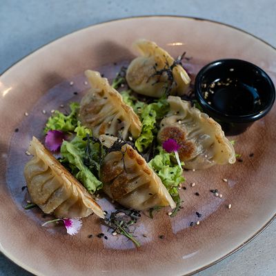 Gyozas Buta Nikkei