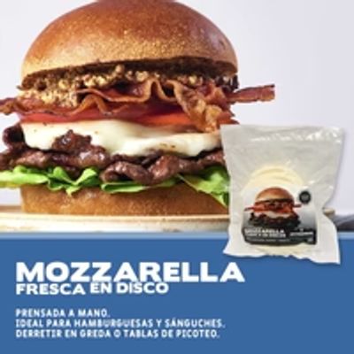 Arte queso mozzarella fresca en disco 500gr aprox