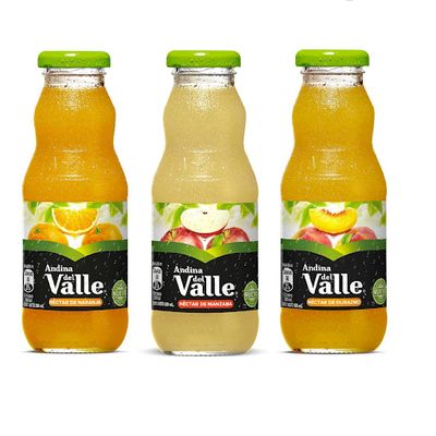 Jugos Andina  300 cc